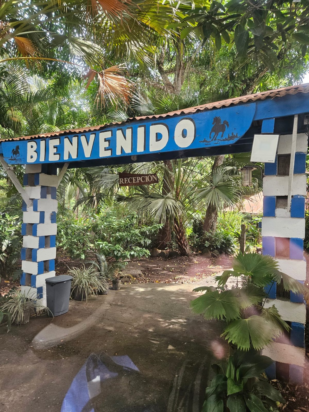 Costa Rica Travel Planning: How to Experience “Pura Vida” Without the Stress